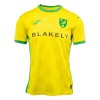 Nogometni Dres Norwich City Domaći 2024-25 Nogometni Dres Norwich City Domaći 2024-25